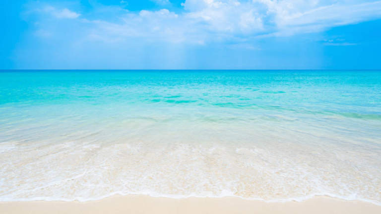 How To Choose The Right Accounting Firm For Your Business Needs